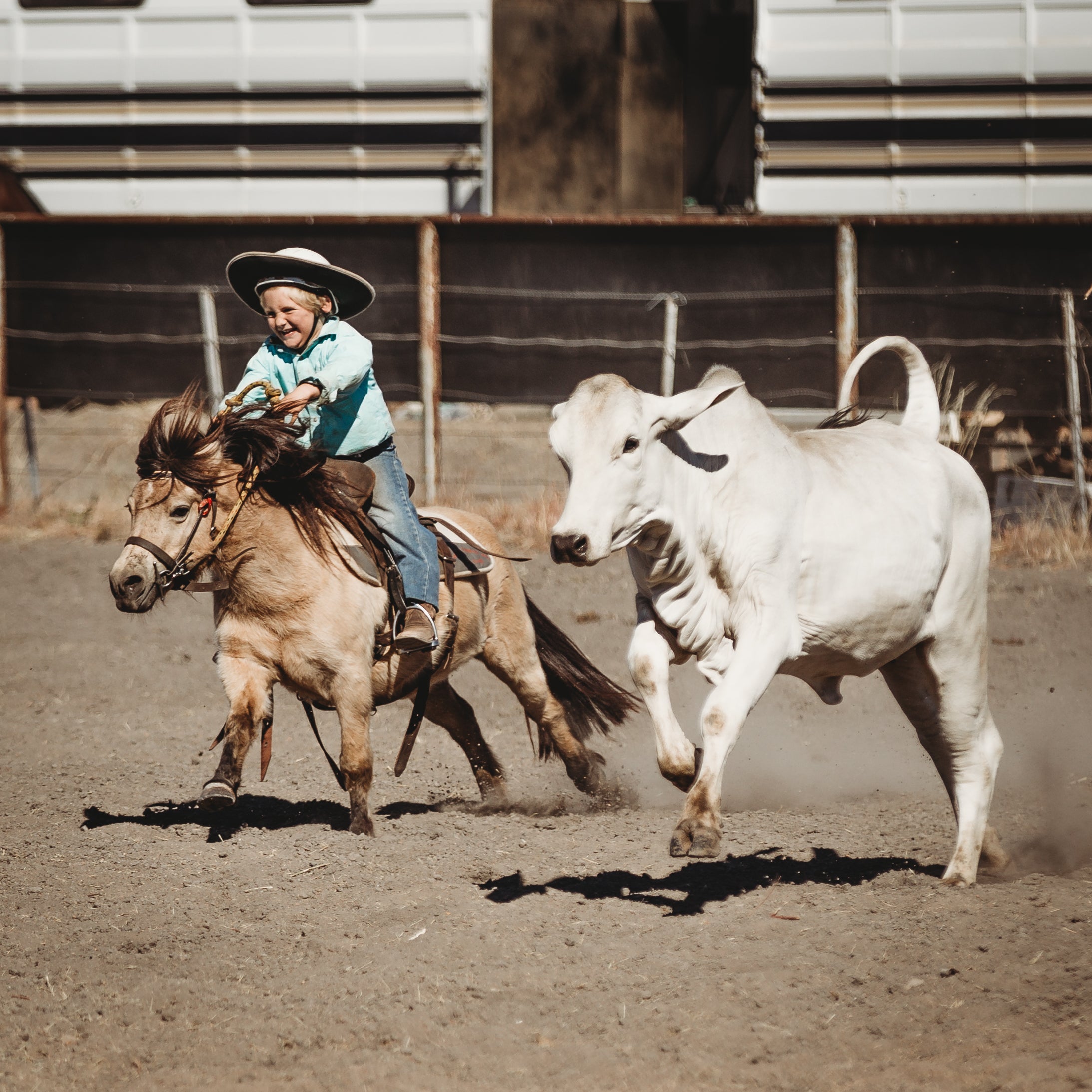 Northern Rodeo, Campdraft & Community Event Calendar